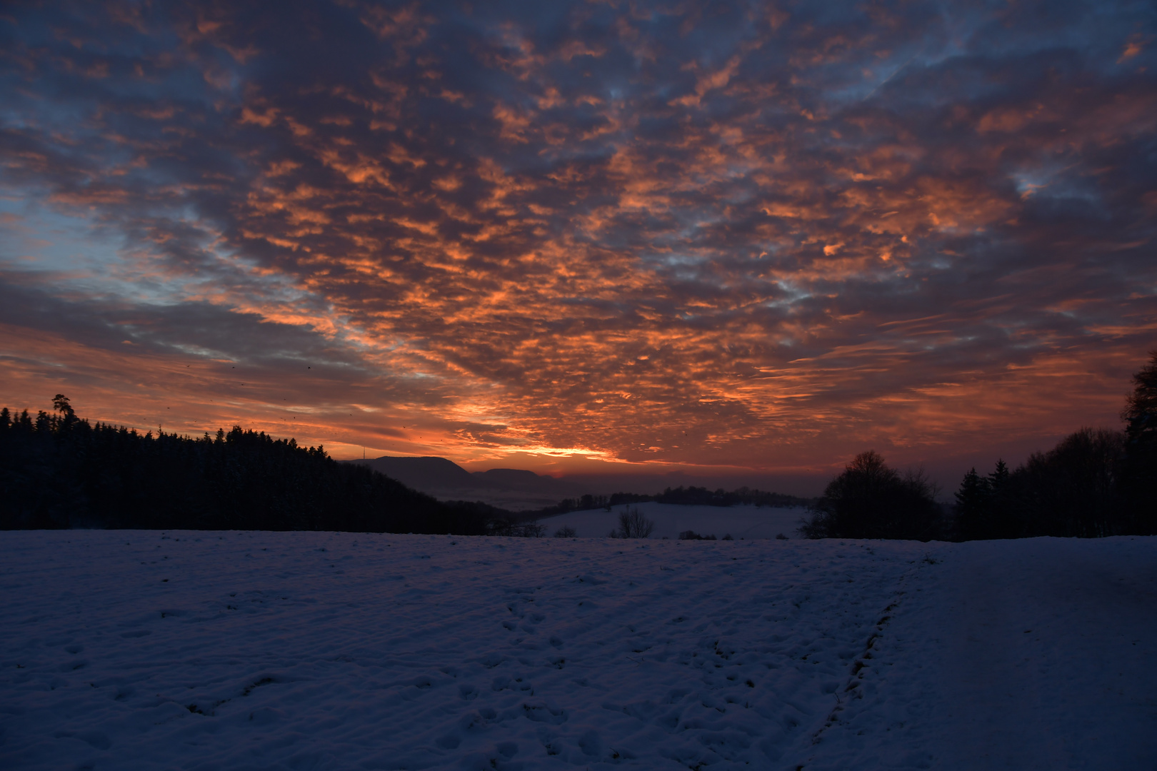 Abendspaziergang im Winter