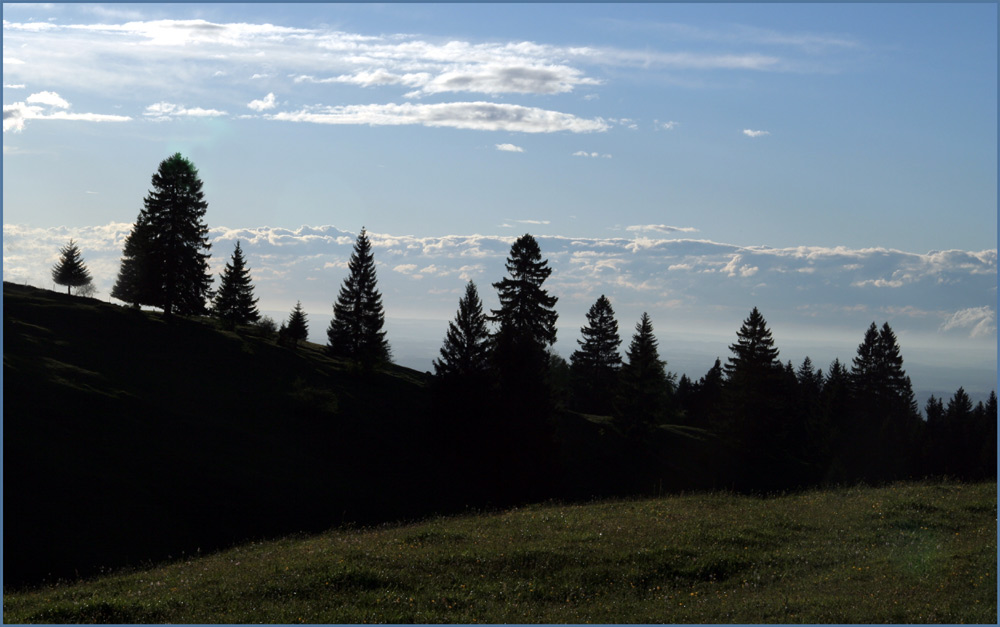 Abendspaziergang in den Voralpen.