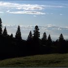 Abendspaziergang in den Voralpen.