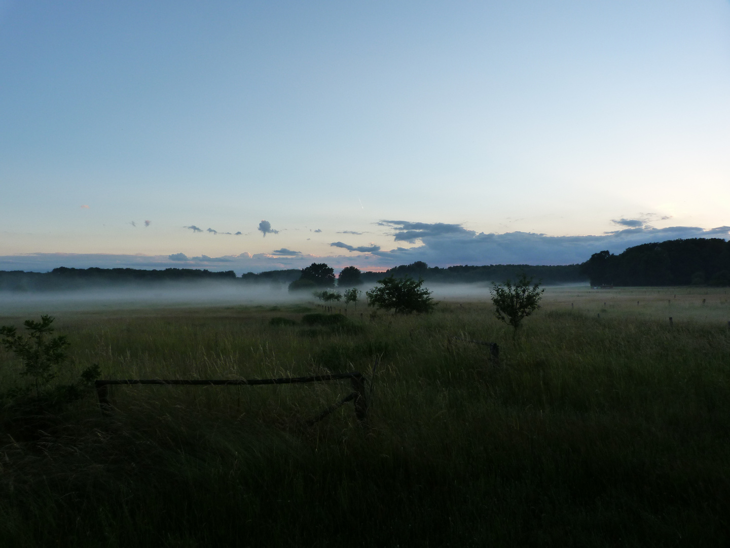 Abendspaziergang in der Buchhorst 1