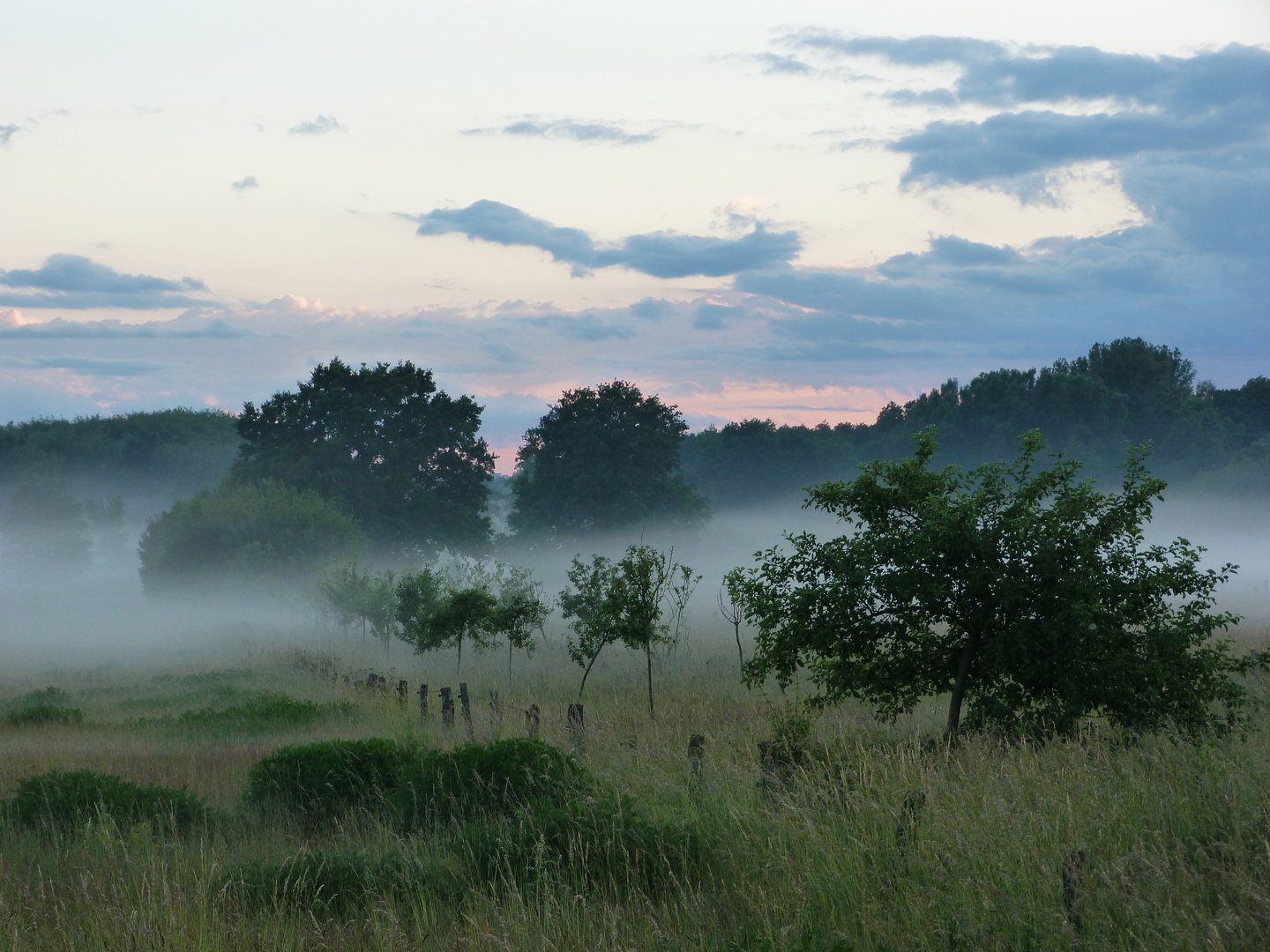 Abendspaziergang in der Buchhorst 2