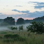 Abendspaziergang in der Buchhorst 2