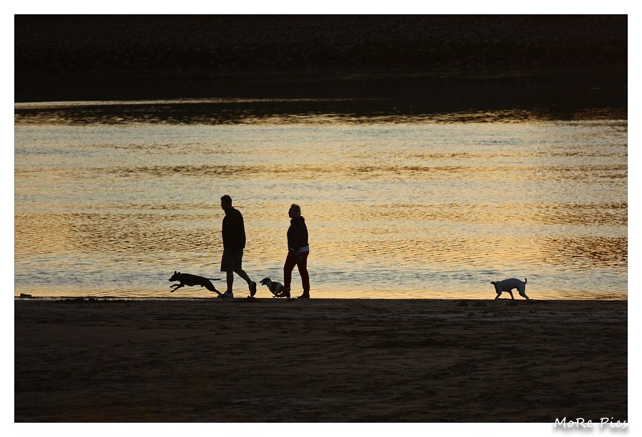 Abendspaziergang in der Elbmarsch