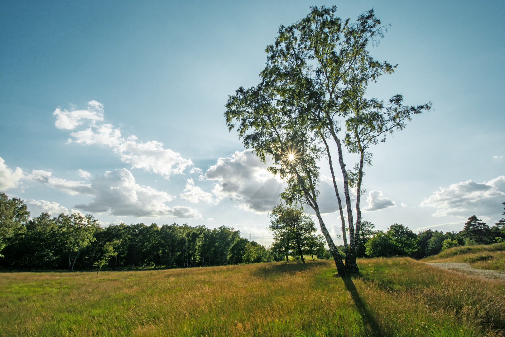 Abendspaziergang in der Wahner Heide