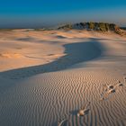 Abendspaziergang in der Wanderdüne Råbjerg Mile