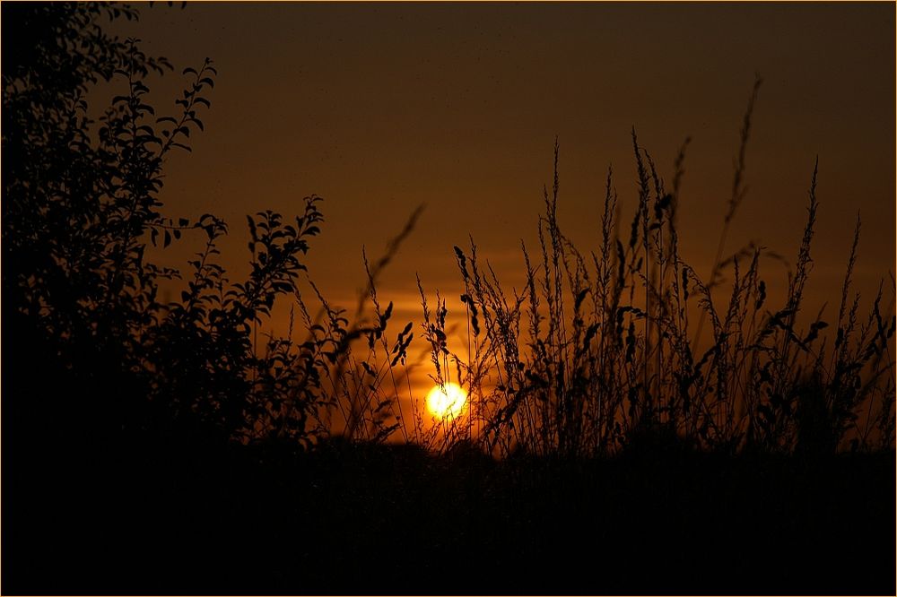 Abendspaziergang in der Weddeler Feldmark