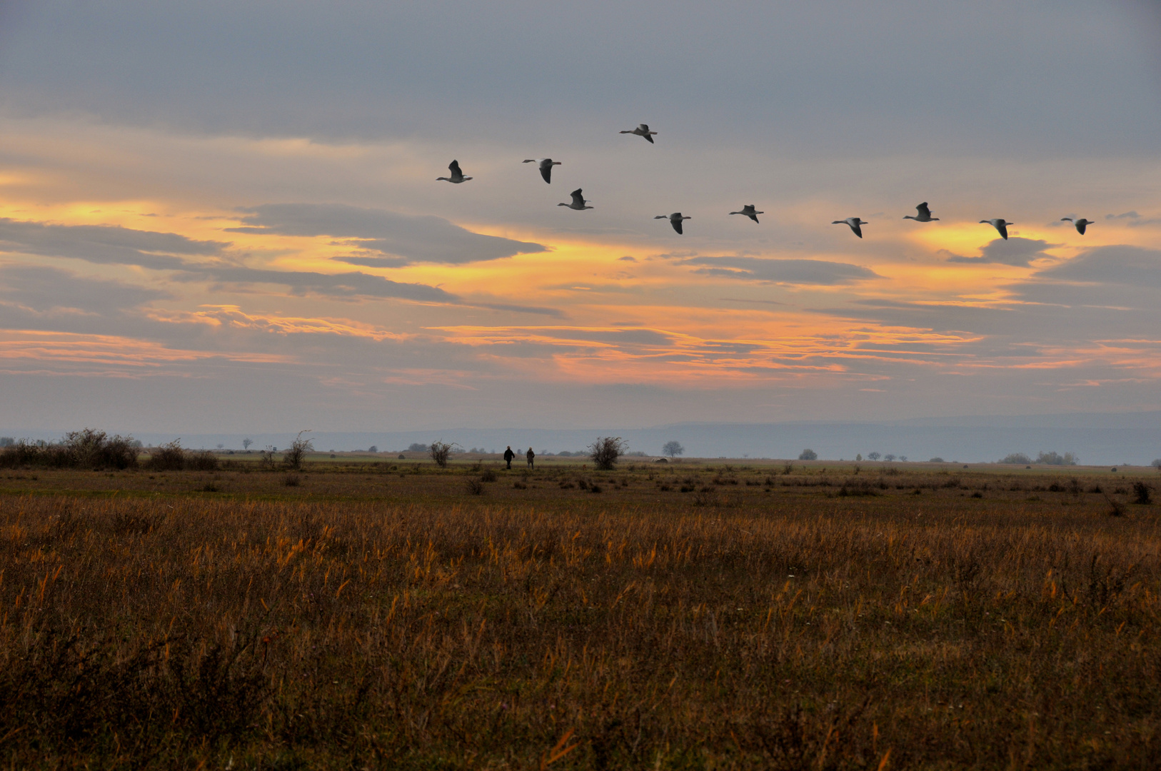 Abendspaziergang in Illmitz