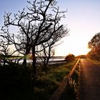 Abendspaziergang in Nord Devon