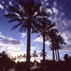 Abendspaziergang in Phoenix/Scottsdale, Arizona