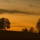 Abendspaziergang in Rot