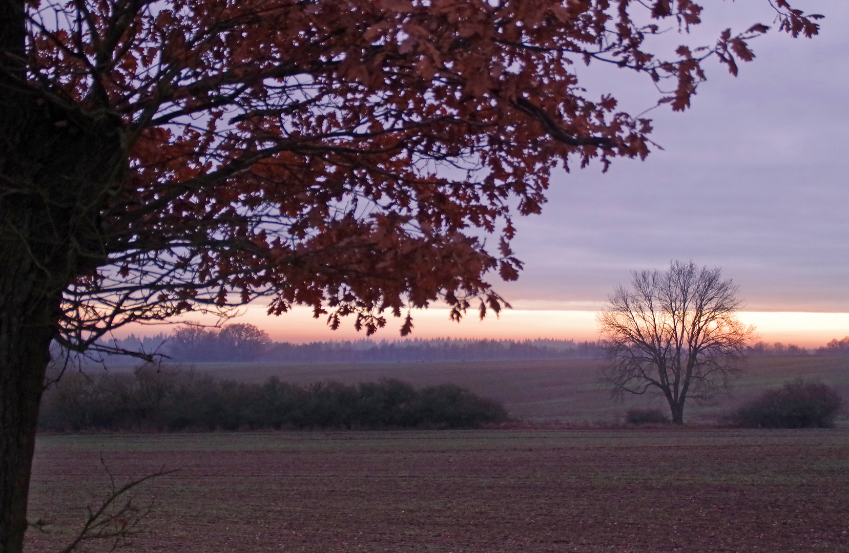 Abendspaziergang, Land Brandenburg, 4.Dez, nr1