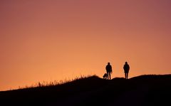 Abendspaziergang mit dem Hund