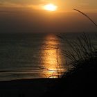 Abendspaziergang mit dem Hund an der Nordsee