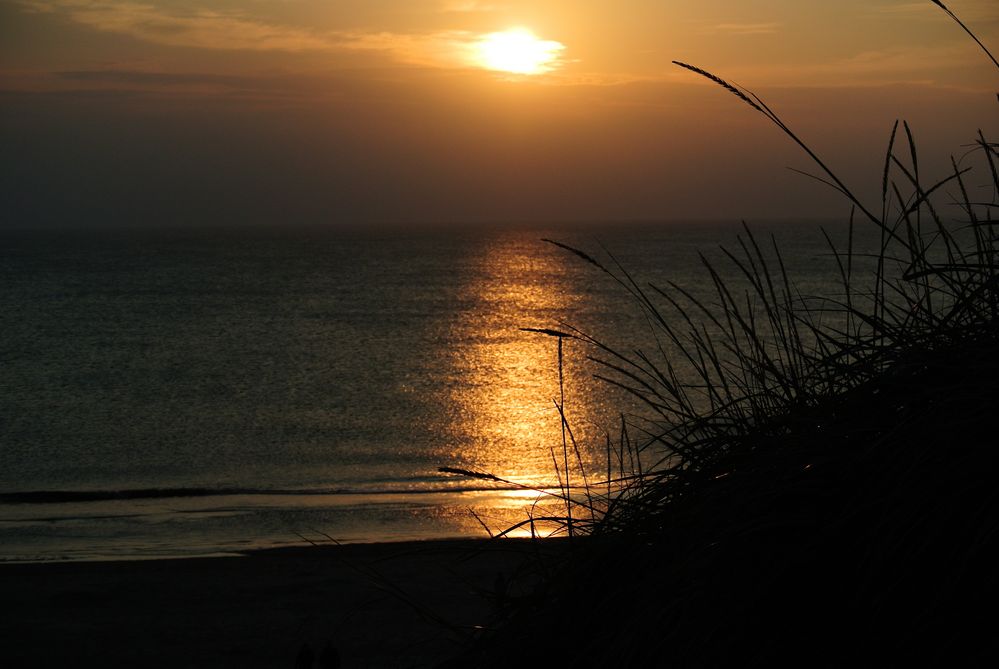 Abendspaziergang mit dem Hund an der Nordsee