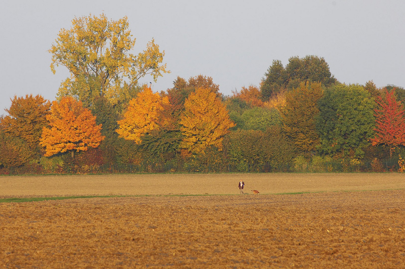 Abendspaziergang mit herbstlichem Hintergrund