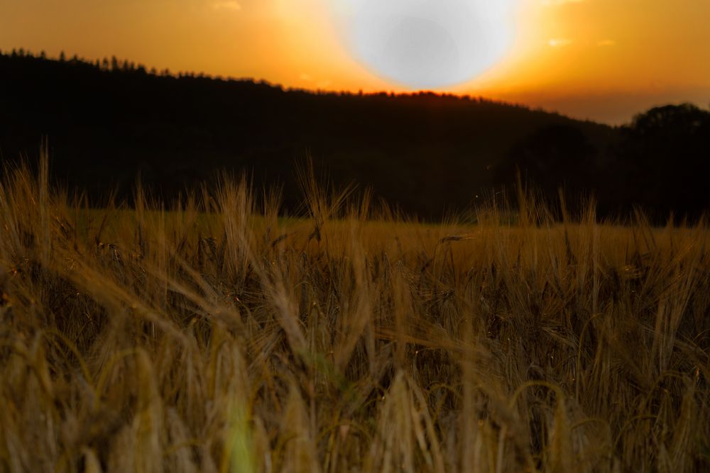 Abendspaziergang Teil 2