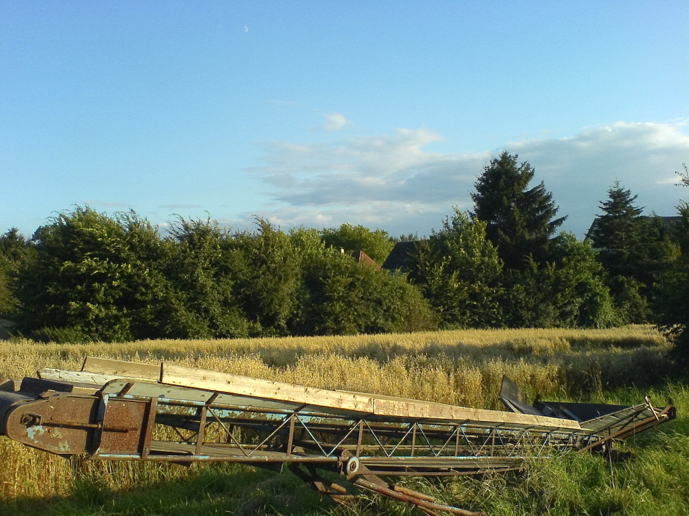 Abendspaziergang über´n Acker