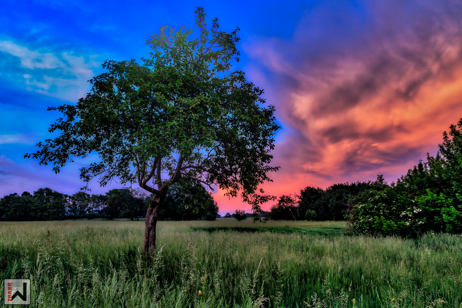 Abendspaziergang2016