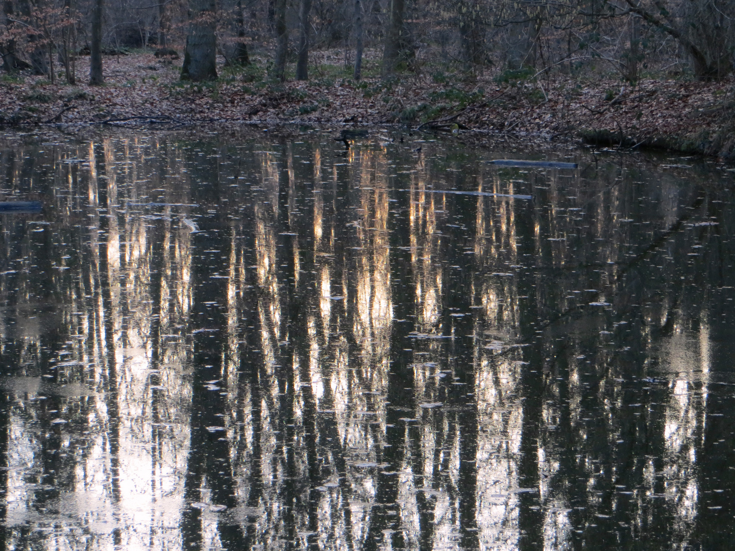 Abendspiegelung