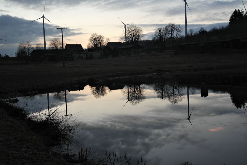 Abendspiegelung im Teich