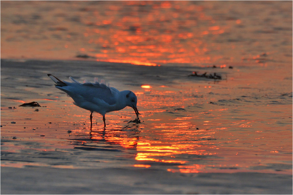 Abendstille . . .