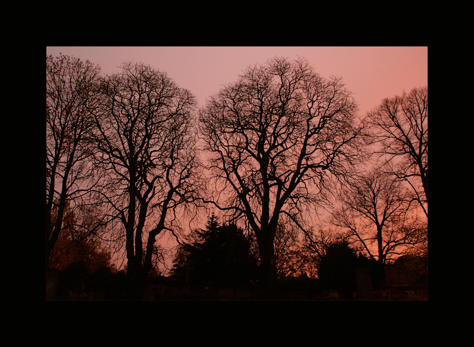 Abendstille