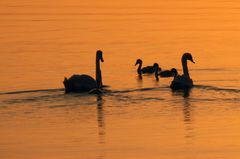 Abendstille (2)