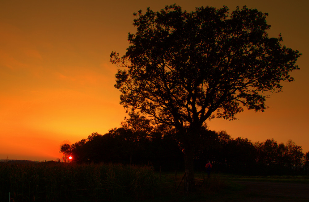 Abendstille