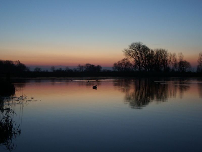 Abendstille