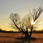 Abendstille