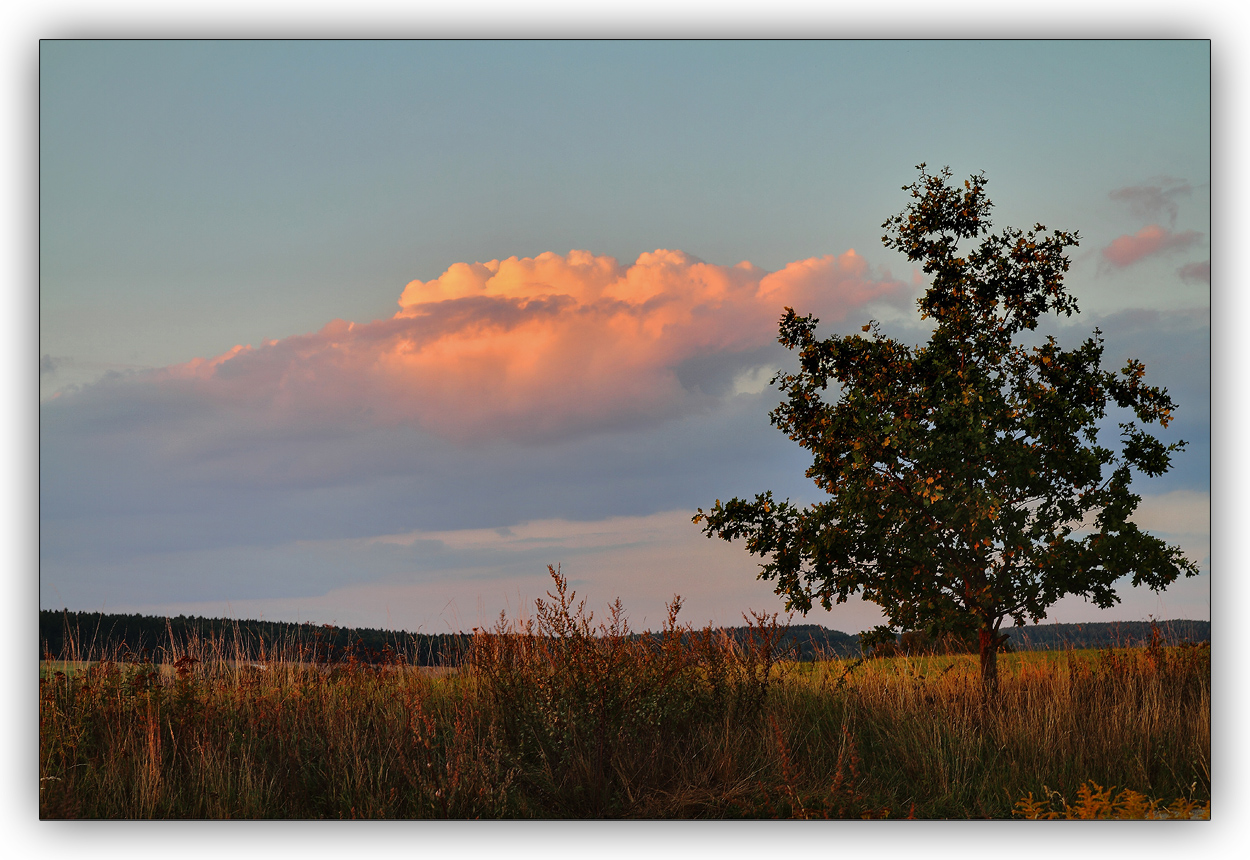 Abendstille