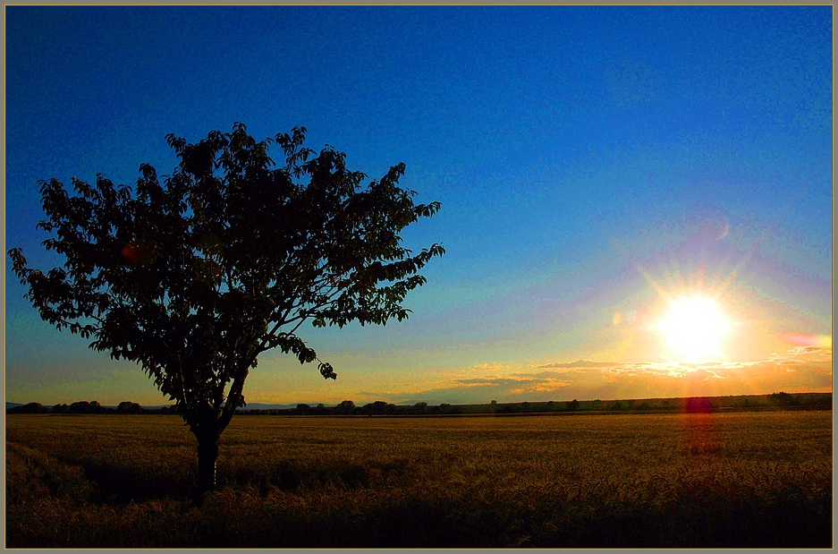 Abendstille