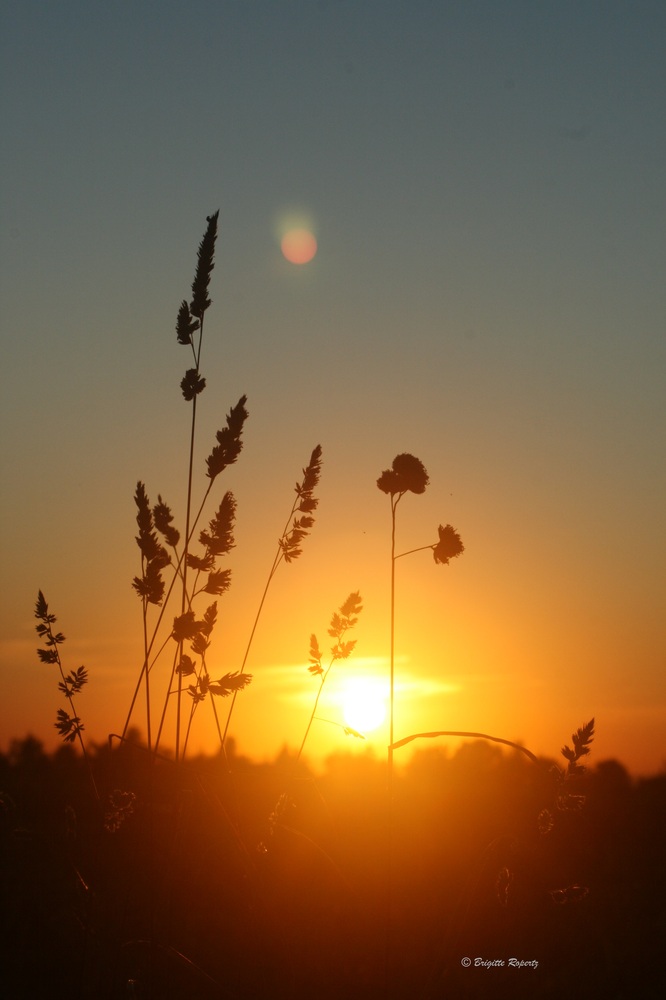 Abendstille