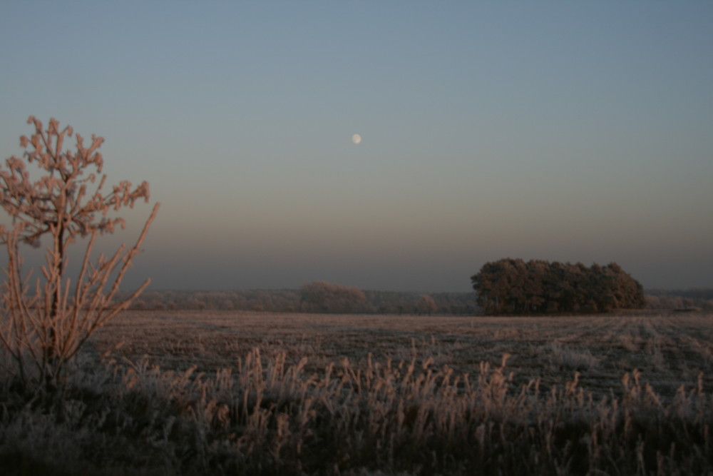 Abendstille