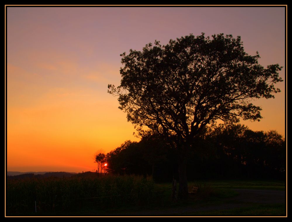 Abendstille