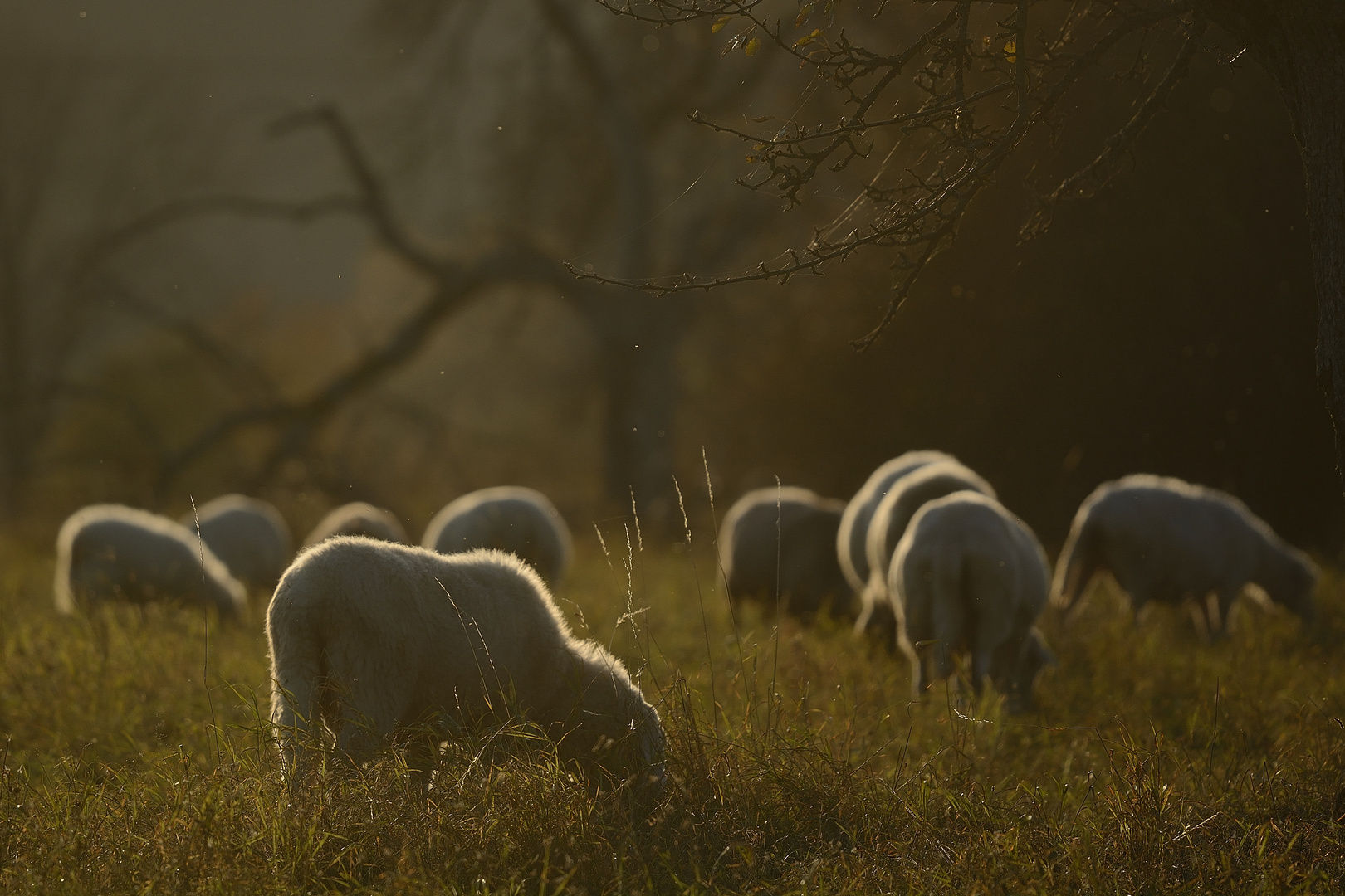 Abendstille