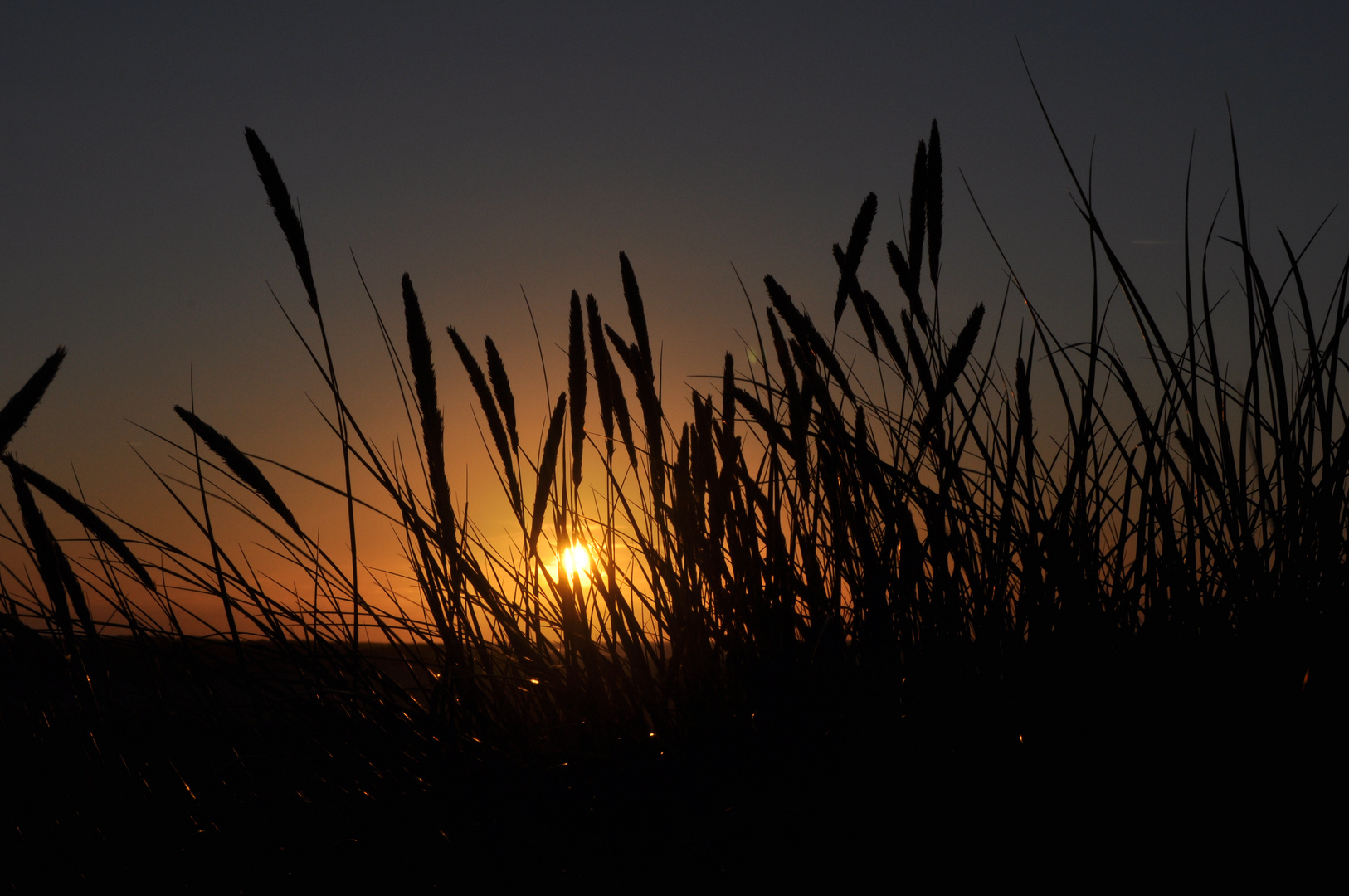 Abendstille