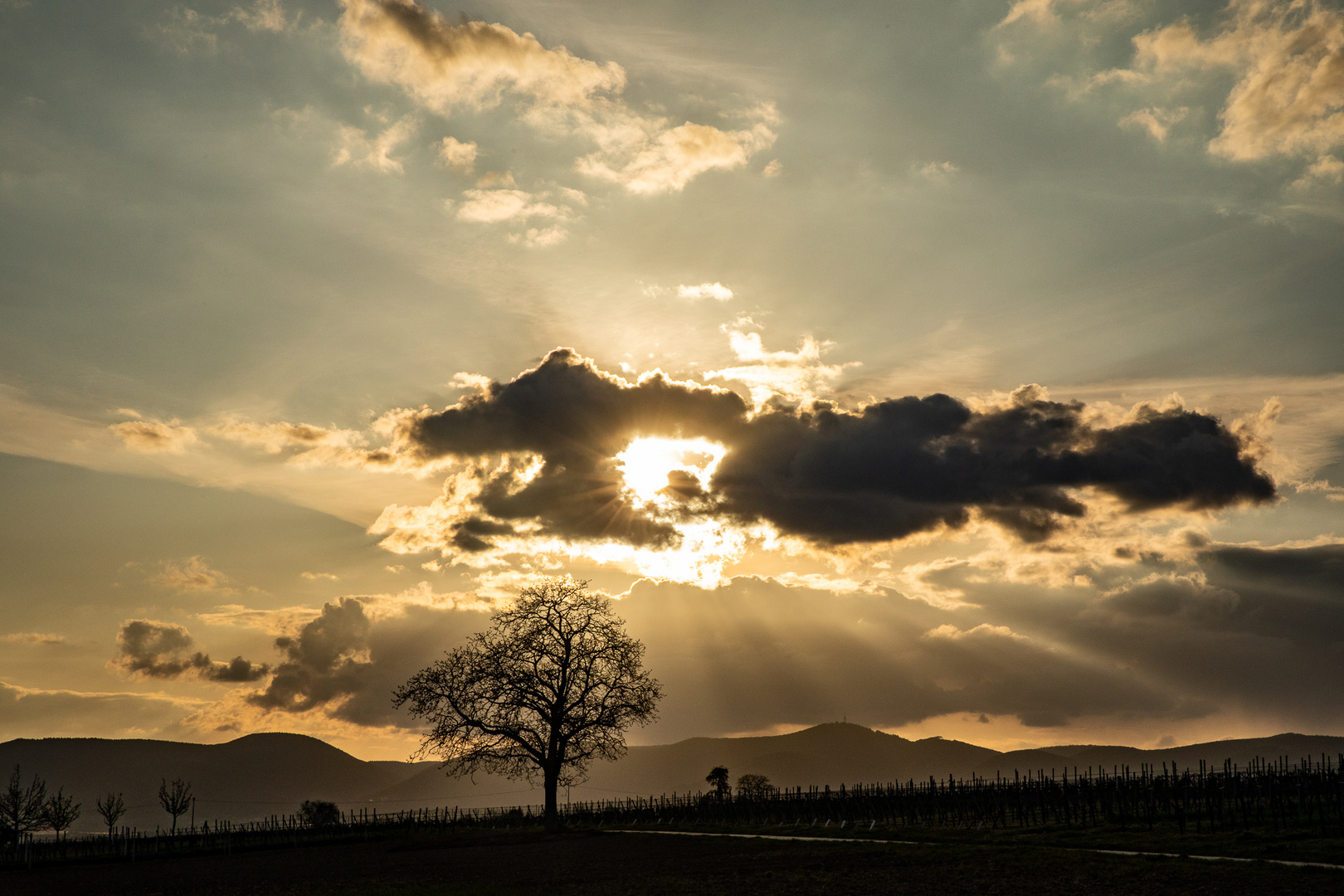 Abendstille