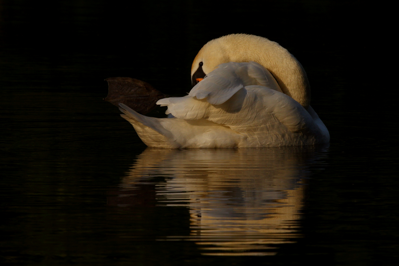 Abendstille