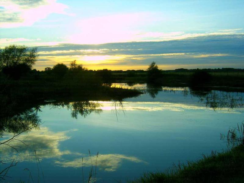 Abendstille am Ententeich