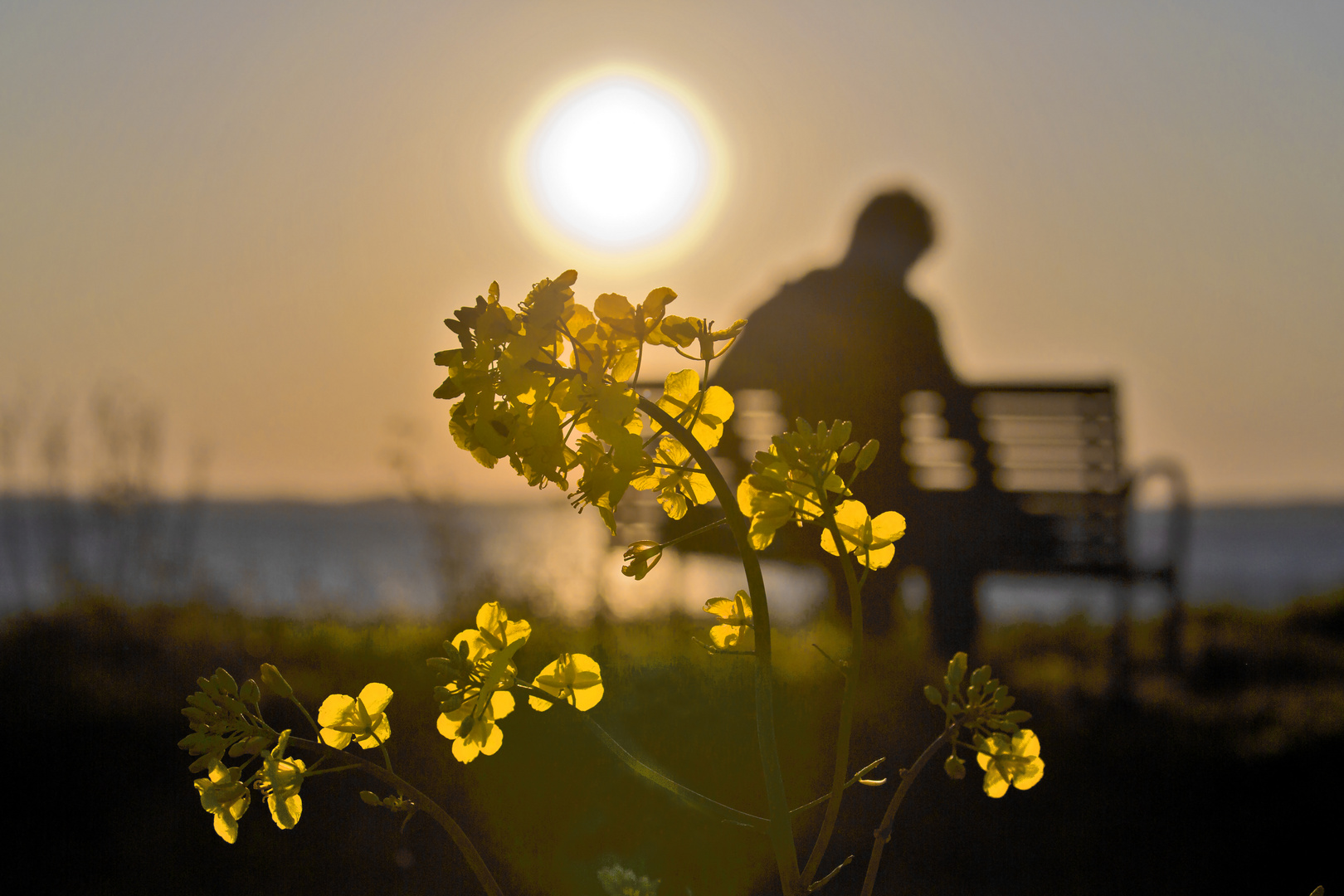 Abendstille am Meer