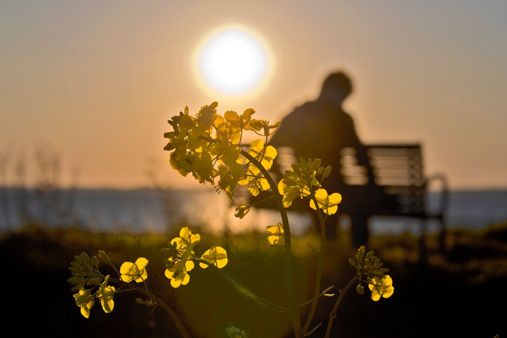 Abendstille am Meer