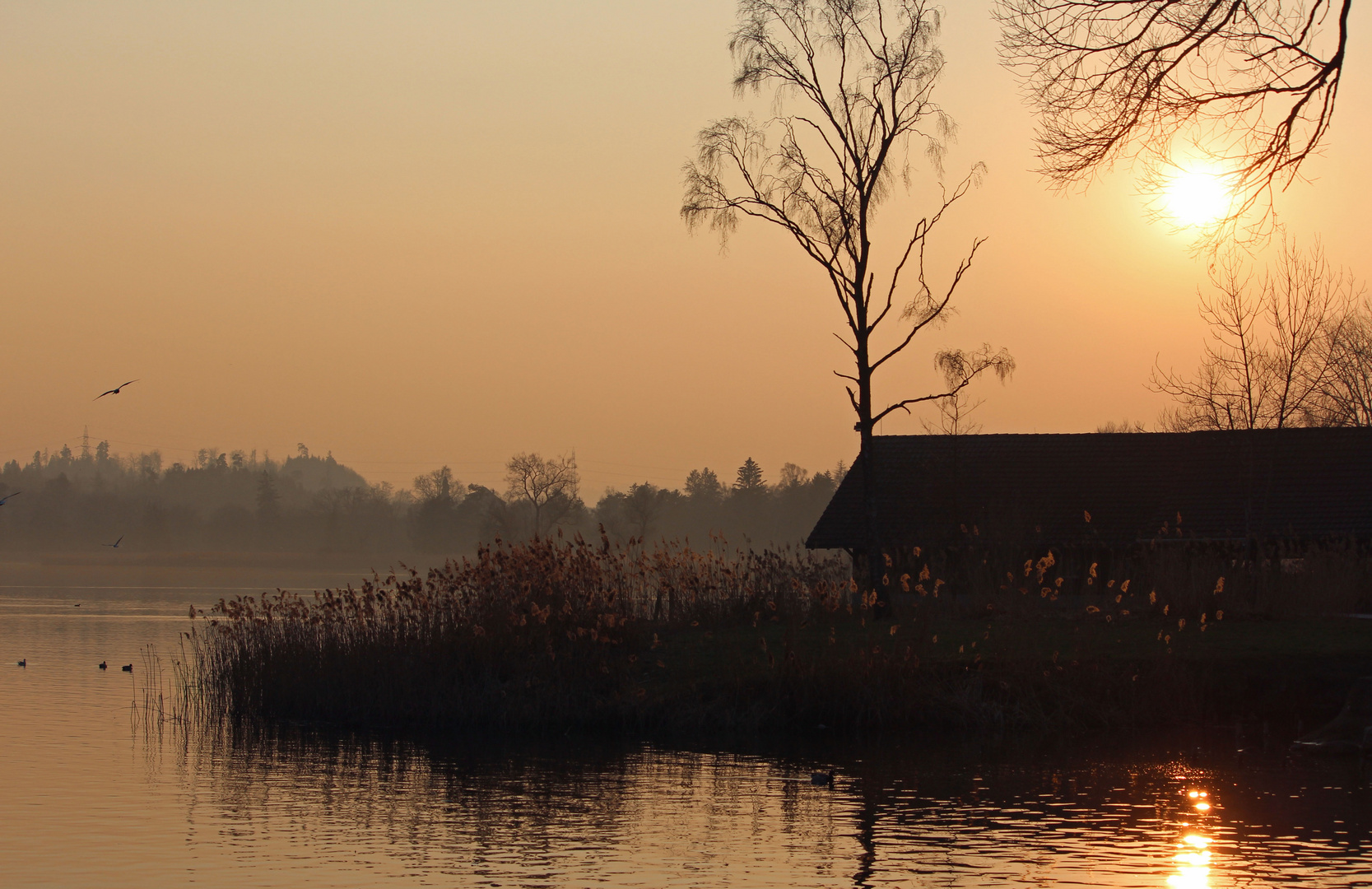 Abendstille am Pfäffikersee