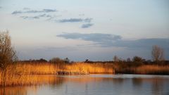 Abendstille am See