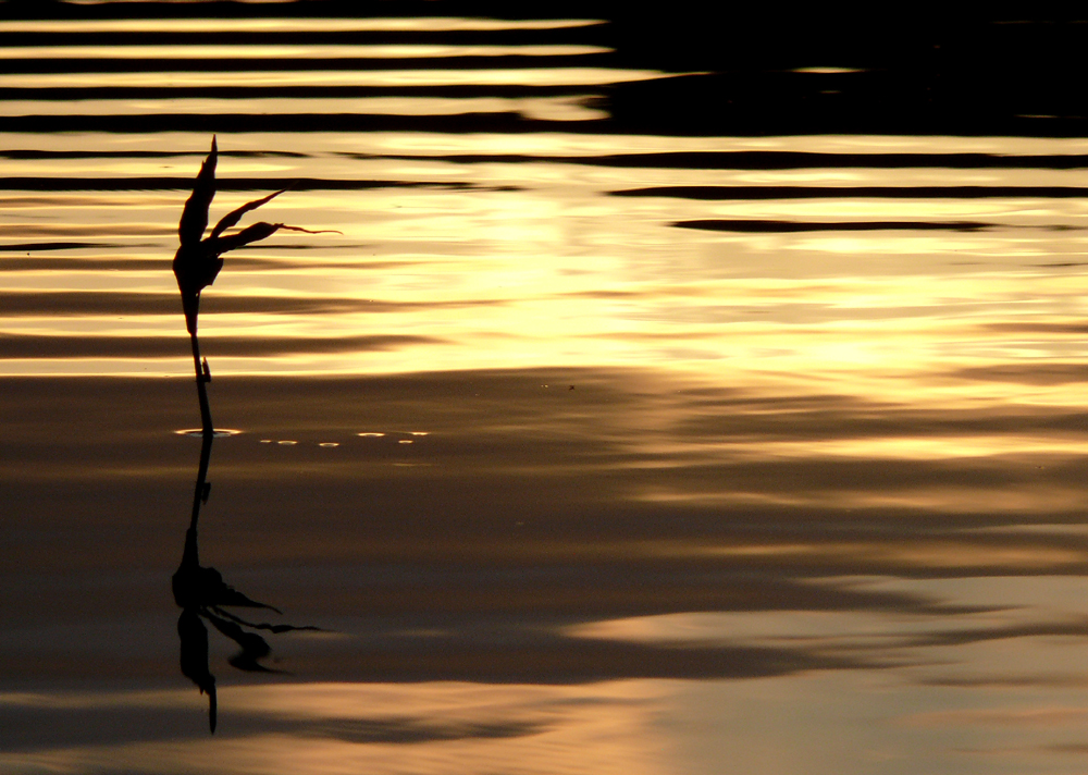 Abendstille am See