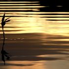 Abendstille am See