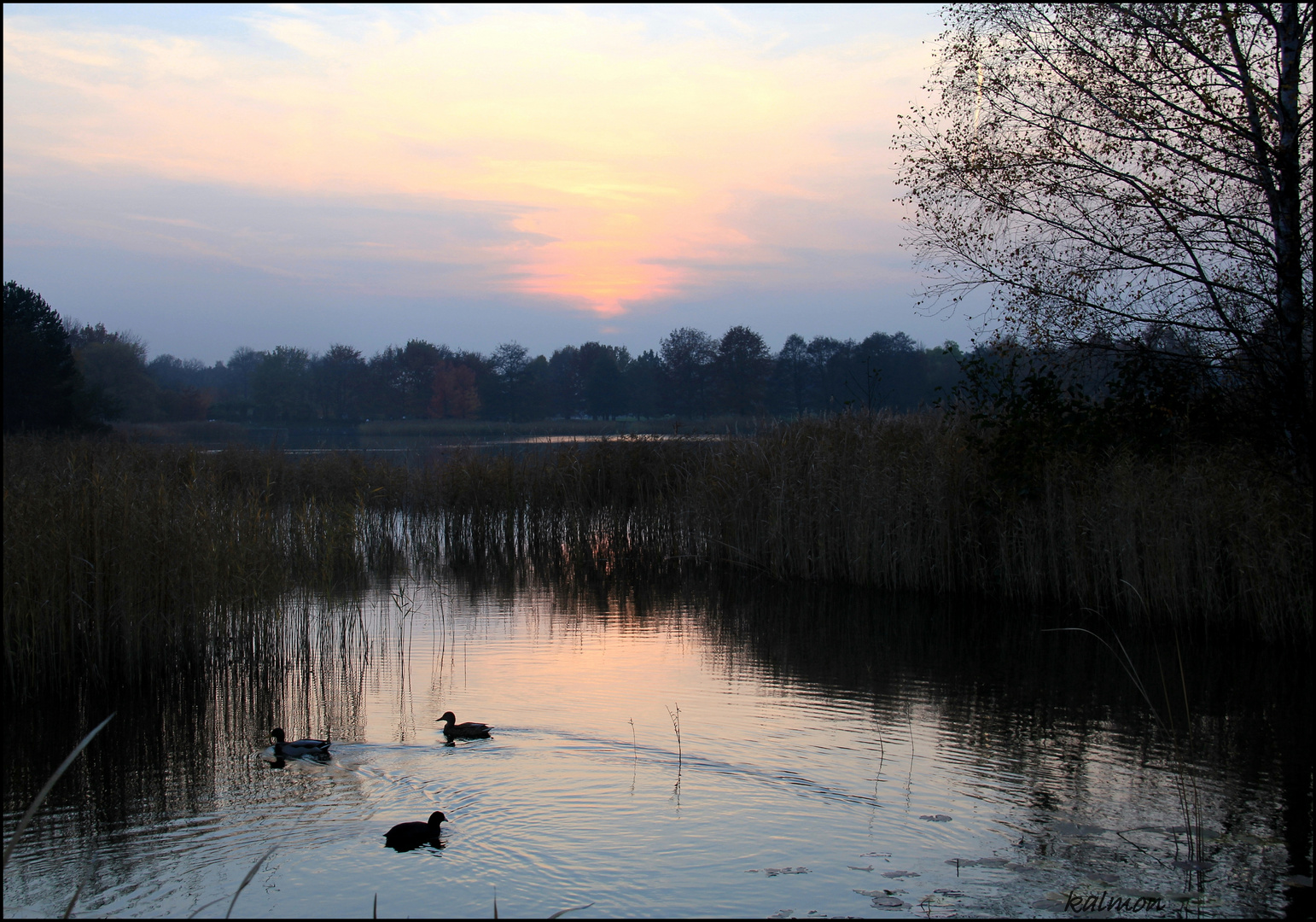 Abendstille am See