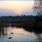 Abendstille am See