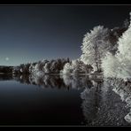 Abendstille am See...