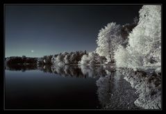 Abendstille am See...